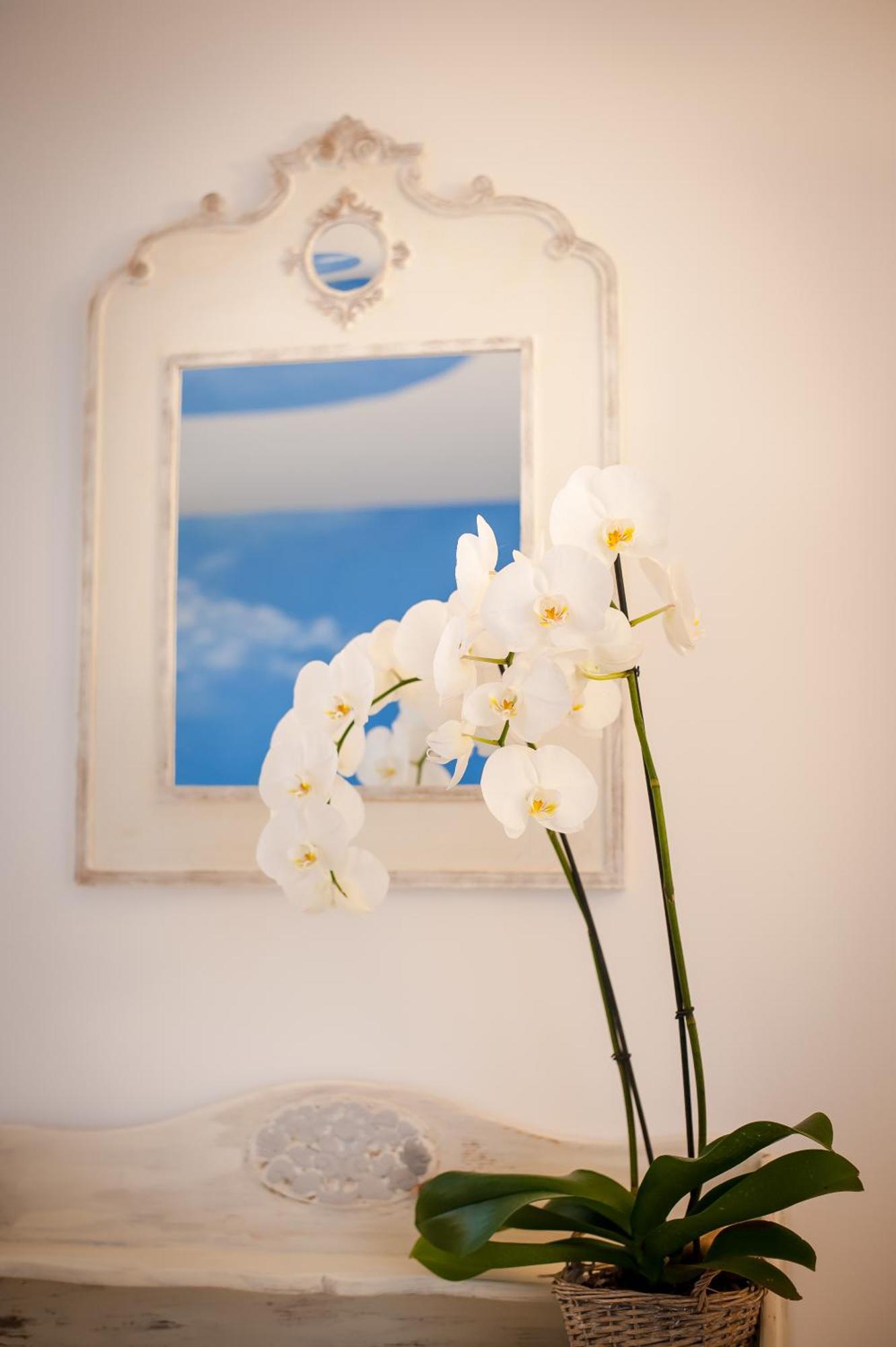 Bed and Breakfast Les 4 Elements Tourrettes-sur-Loup Pokój zdjęcie