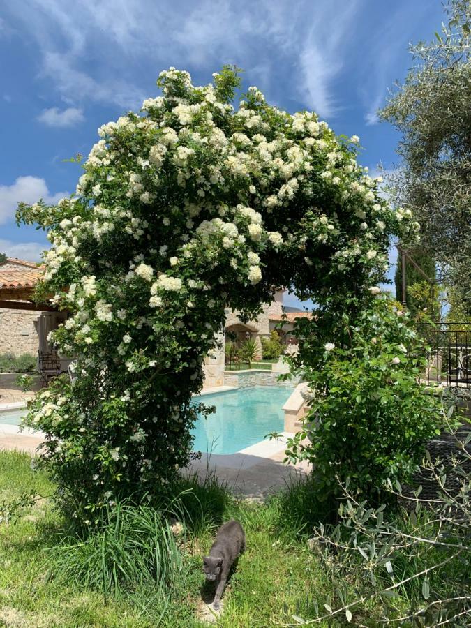 Bed and Breakfast Les 4 Elements Tourrettes-sur-Loup Zewnętrze zdjęcie